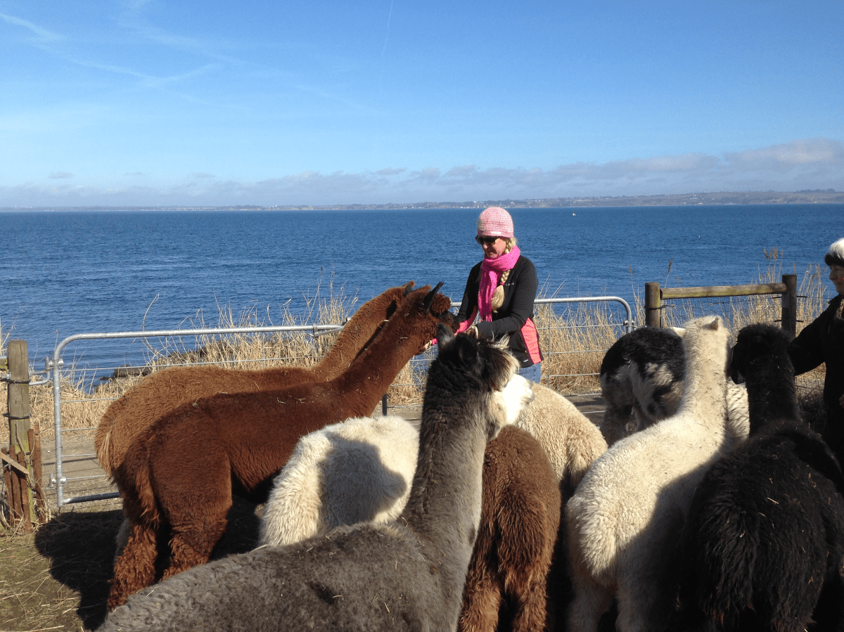 Första besöket i Lund. 1 december&nbsp;2016